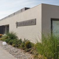 WhatsApp Image 2025-12-25 at 16.23.30